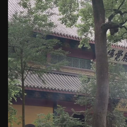 Taoist Blessed Talisman - Handcrafted Spiritual Charm for Luck, Love & Wealth